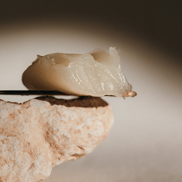 Herbal-Infused Tallow Balm